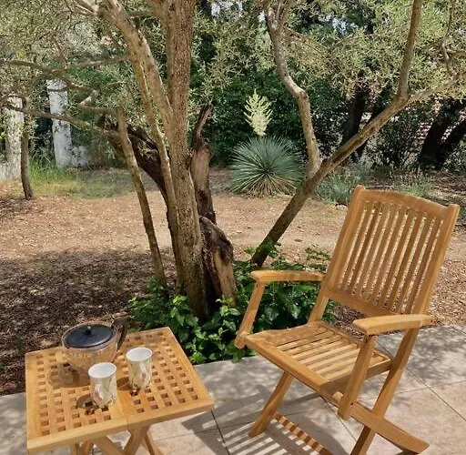 Вилла De Charme Avec Piscine 5 Min D'avignon Les Angles (Gard)